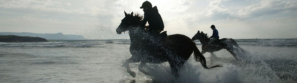 equestrian life insurance